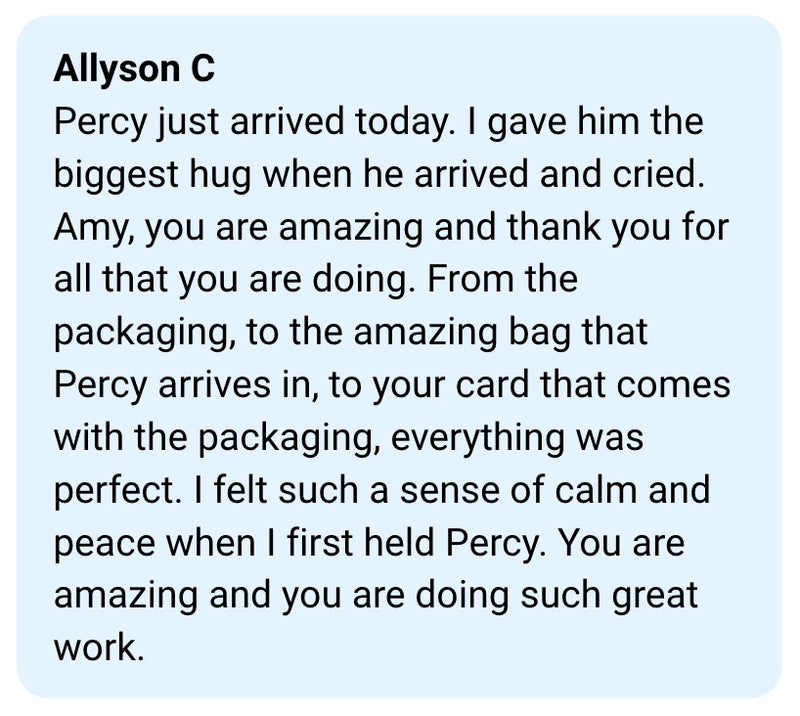 Text message from Allyson C expressing gratitude to Amy for making Percy.
