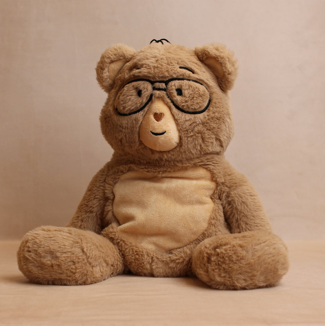 Front view of percy bear sitting