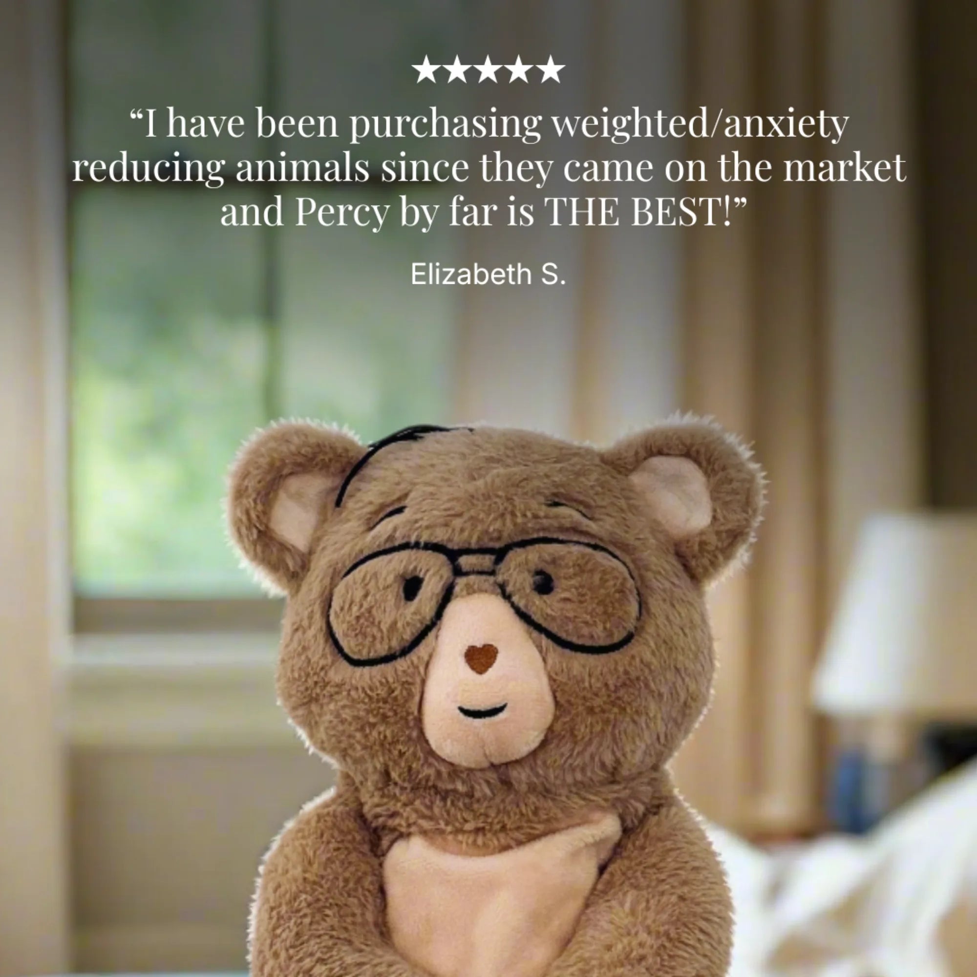Teddy bear wearing glasses with a quote about weighted/anxiety reducing animals on a blurred background